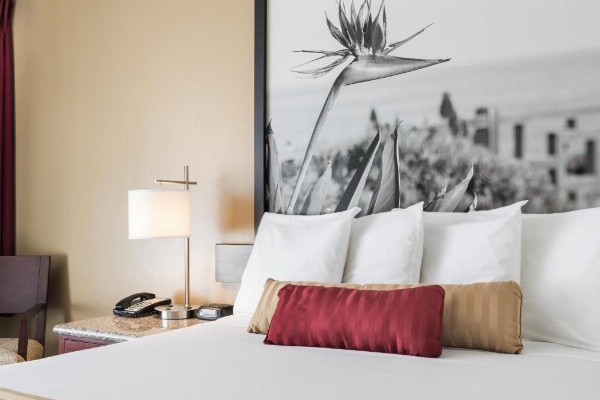 Kings Inn Anaheim at The Park & Convention Center image 13